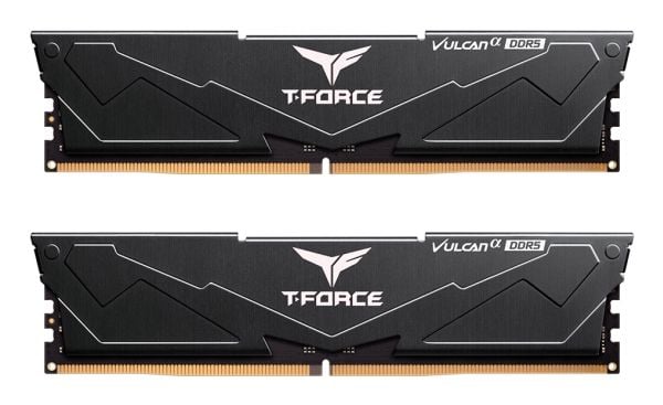Team Elite Plus - DDR5 - modul - 16 GB / PC5-48000 - CL30 - ikke-bufret - on-die ECC