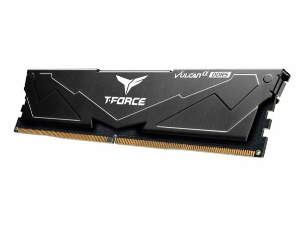 Team Elite Plus - DDR5 - modul - 16 GB / PC5-48000 - CL30 - ikke-bufret - on-die ECC