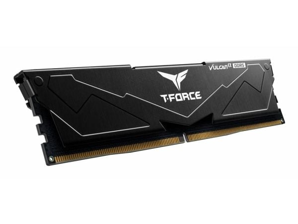 Team Elite Plus - DDR5 - modul - 16 GB / PC5-48000 - CL30 - ikke-bufret - on-die ECC