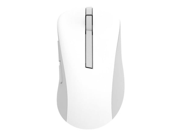 ASUS MD102 - Mus - ergonomisk - optisk - 5 knapper - trådløs - Bluetooth, 2.4 GHz - USB trådløs mottaker - hvit