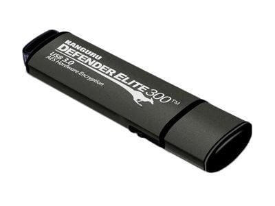 Defender Elite300 USB 256GB Kanguru USB3.0 Stick Kryptert, Kapasitet: 256GB KANGURU (KDFE300-256G)