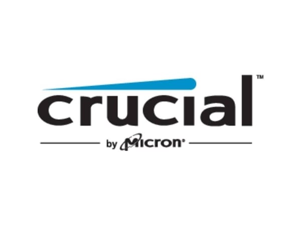 Crucial Pro - DDR4 - modul - 16 GB - DIMM 288-pin lav profil - 3200 MHz / PC4-25600 - CL22 - 1.2 V - ikke-bufret - ikke-ECC - atlasksort