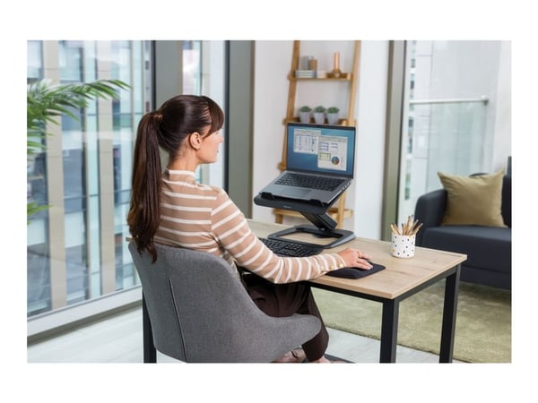 Fellowes Hana LT - Notebookstativ - 19" - svart