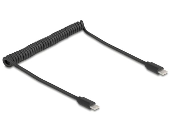 Delock - USB-kabel - USB-C (hann) til USB-C (hann) - USB 2.0 - 2 A - 75 cm - rullet sammen - svart