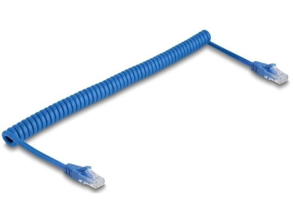 DeLOCK 90197, 1,2 m, Cat6, U/UTP (UTP), RJ-45, RJ-45, sininen