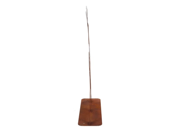 Esschert Design TT248, Brun, Stål, Dyr, 1 stk, 380 mm, 100 mm