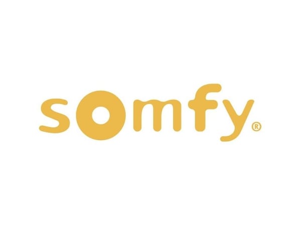 Somfy trådlös handkontroll Situo 1 io Pure II 1870311 (1870311)