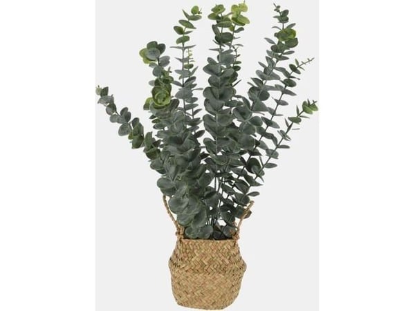 ProGarden kunstig eukalyptus i kurv, 50 cm