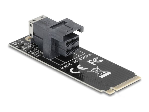 Delock - Grensesnittsadapter - M.2 2260 - M.2 NVMe Card / PCIe 4.0 (NVMe) - M.2 Card