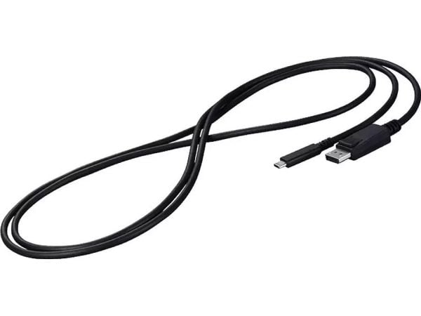 Eizo CP200 - Adapterkabel - USB-C (hane) till DisplayPort (hane) - 2 m - svart