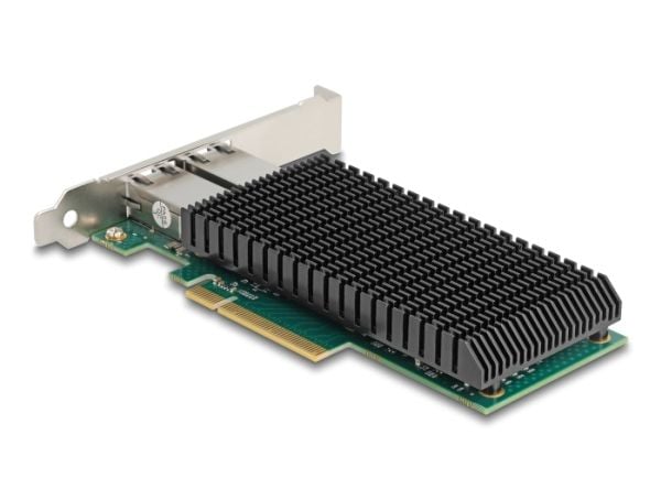 Delock - Nettverksadapter - PCIe 2.0 x8 lav profil - 10M/100M/1G/2.5G/5G/10 Gigabit Ethernet x 2