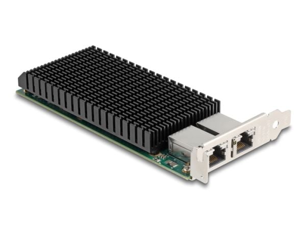 Delock - Nettverksadapter - PCIe 2.0 x8 lav profil - 10M/100M/1G/2.5G/5G/10 Gigabit Ethernet x 2