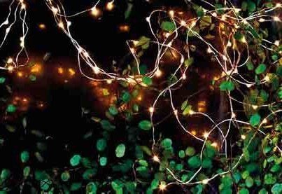 Konstsmide Sirius Home lysslynge Knirke, grønn, transparent, stemning, 200 lamper, LED