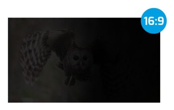 Natec OWL 27" yksityisyyssuodatin (NFP-2118)