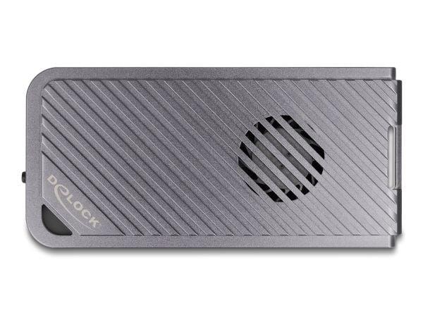 Delock - Drevkabinett - 40 Gbps, gaming style, with LED and fan, tool free - M.2 - M.2 NVMe Card - Thunderbolt 3, Thunderbolt 4, USB4 - sølv