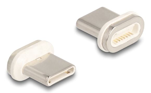 Delock Magnetischer Adapter USB Type-C Stecker