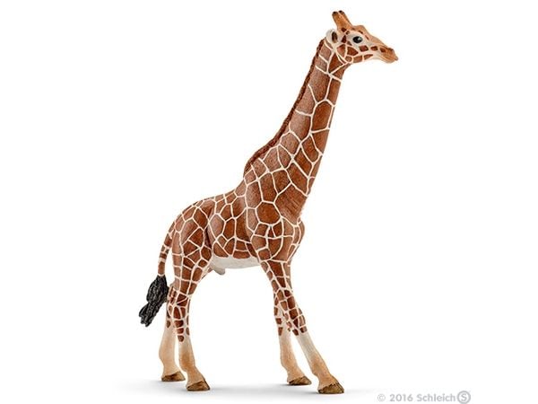 Schleich Wild Life - Giraffe Bull