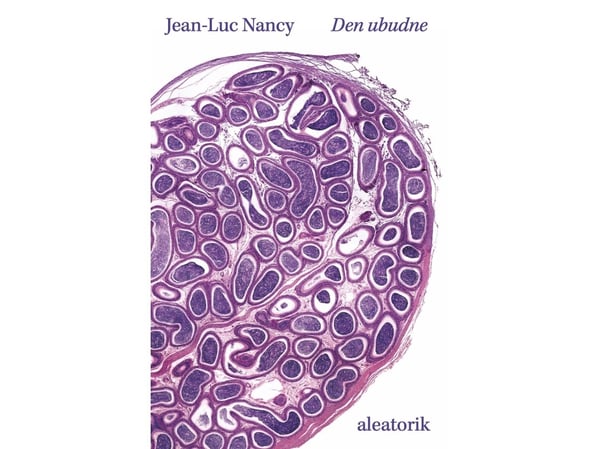 Kutsumaton | Jean-Luc Nancy | Kieli: Tanska