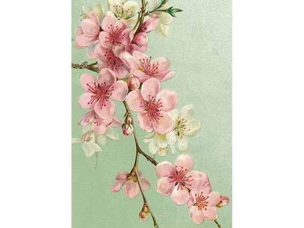 Skona Ting invitasjonskort ST471 B6 + konvolutt Kirsebærblomster