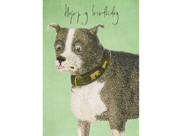 B6 invitasjonshefte med konvolutt Birthday Dog