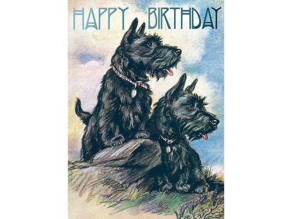 B6-kort med konvolutt Fødselsdag skotsk terrier