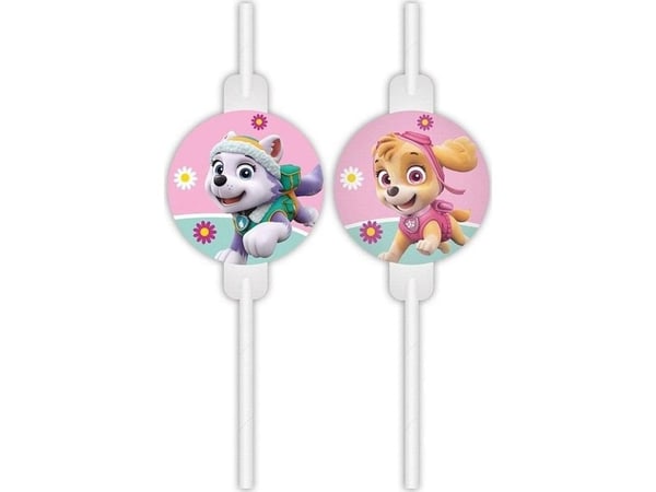 Paw Patrol Skye -paperipillit
