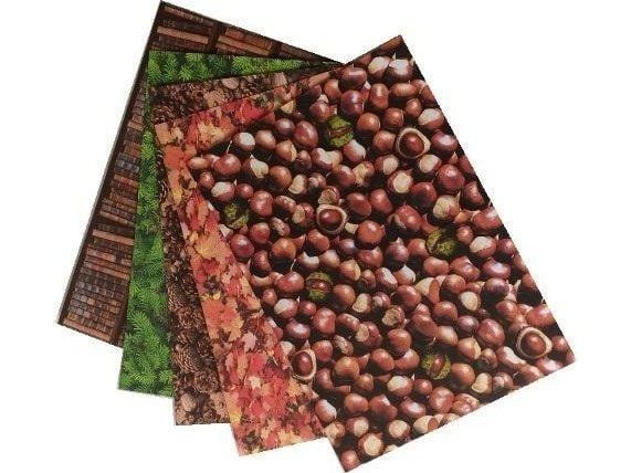Kartong 300g Natura 24x34cm 5 ark