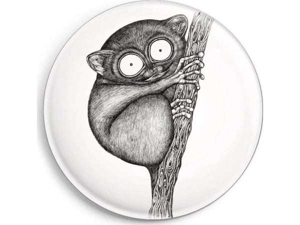 Tarsier-magnet