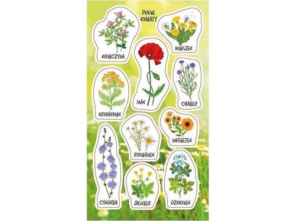 Ranok klistremerker markblomster
