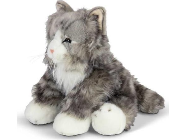 Pörröinen kissa Pörröinen kissa