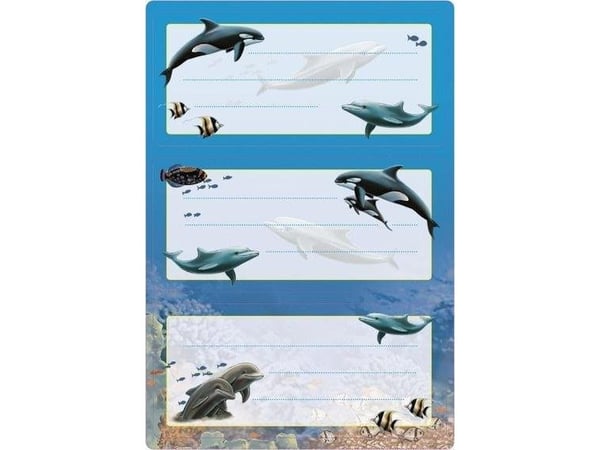 HERMA 5579, Multifärg, Rektangel, Permanent, papper, 6 styck, 2 styck