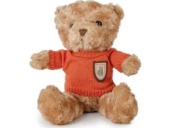 Shaggy bjørn 22cm i oransje genser