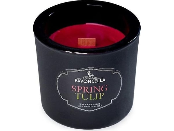 AutoTune soyalys Spring Tulip svart 170 g