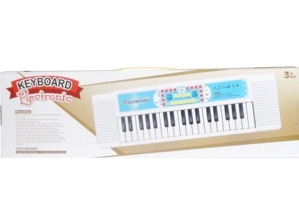 Svensk orgel (munnspillinstrument)
