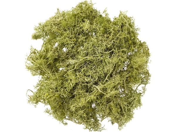 Mek jasnozielony 30g