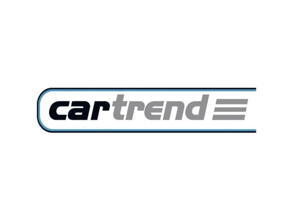 cartrend 10161 oppbevaringsnett (B x H) 31 cm x 21 cm