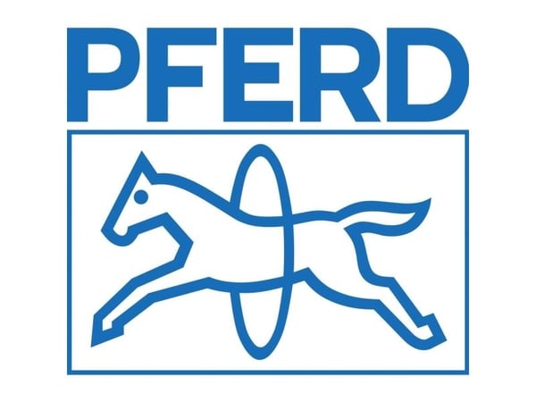 PFERD 31114132, Slipstift, Titan, 61000 RPM, 3 mm, 16 mm, 10 styck