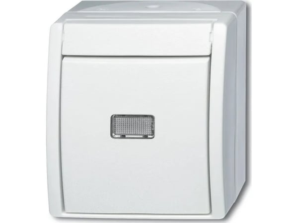 ABB 2621 W-54-206, Hallintaelementti, Valkoinen, Termoplastinen, 1P+N, IP44, 74 mm