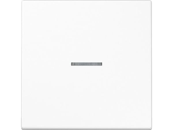 JUNG BTLS17101WW, Painikkeet, Valkoinen, Duroplast, 2402 - 2480 MHz, 30 m, Seinä