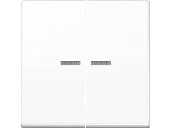 JUNG BTAS17102WW, Painikkeet, Valkoinen, Duroplast, 2402 - 2480 MHz, 30 m, Seinä