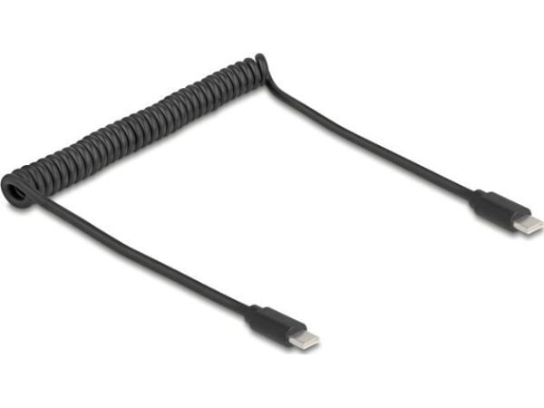Delock - USB-kabel - USB-C (hann) til USB-C (hann) - USB 2.0 - 2 A - 75 cm - rullet sammen - svart