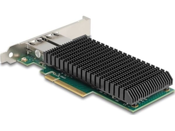 Delock - Nettverksadapter - PCIe 2.0 x8 lav profil - 10M/100M/1G/2.5G/5G/10 Gigabit Ethernet x 2