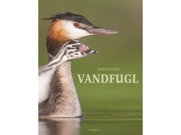 Vattenfågel | Mads Hagen | Språk: Danska