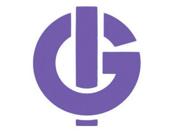 Igarashi 2738-125-GC-5 universal børstet elektrisk motor