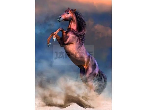 Clementoni 500 pcs CB HQC Wild Red Stallion, 14 vuosi/vuosia