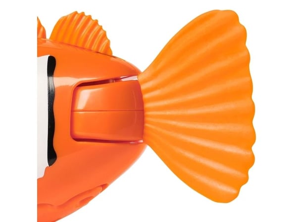 Rainbow Reef Fish - Clown Fish