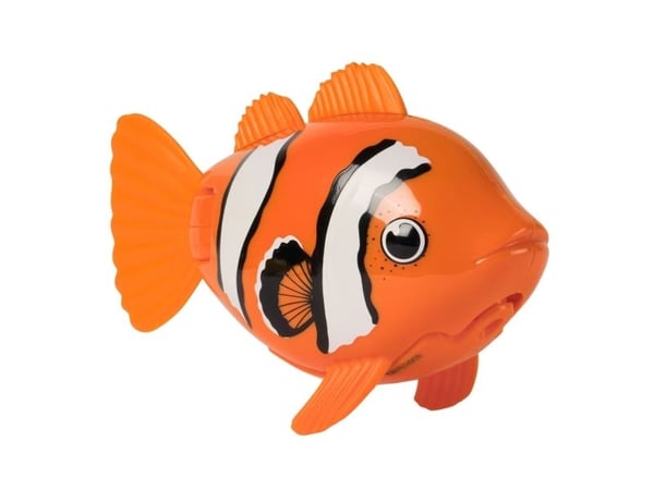 Rainbow Reef Fish - Clown Fish