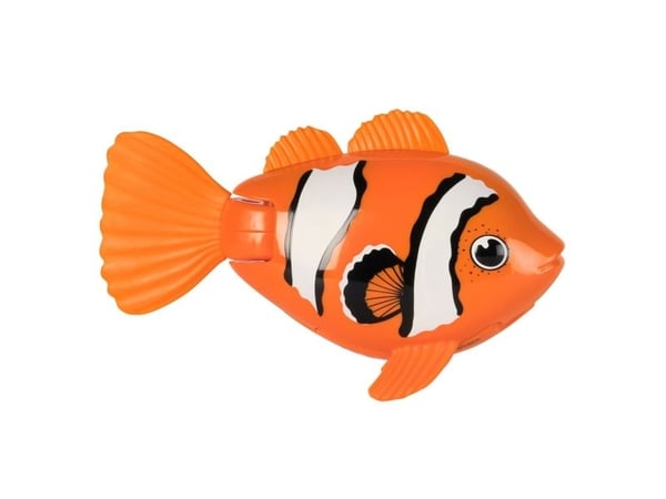 Rainbow Reef Fish - Clown Fish