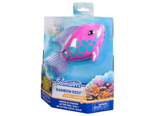 Rainbow Reef Fish - Rainbow Fish