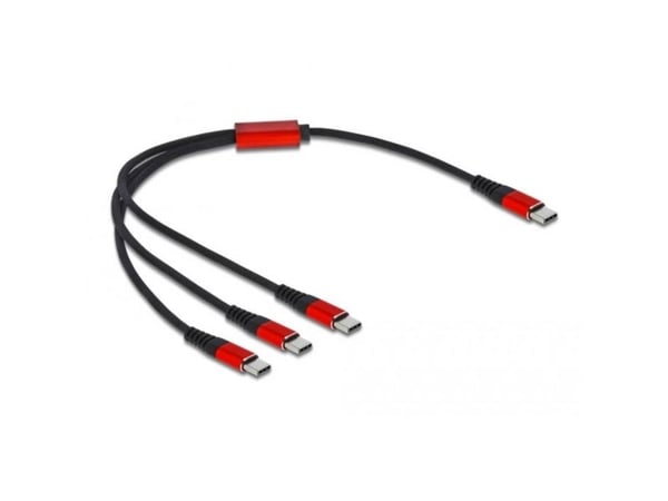 Delock - USB-kabel - USB-C (hann) til USB-C (hann) - USB 2.0 - 5 V - 3 A - 30 cm - svart